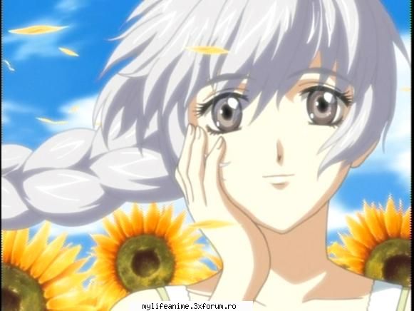kawaii ;) testarosa